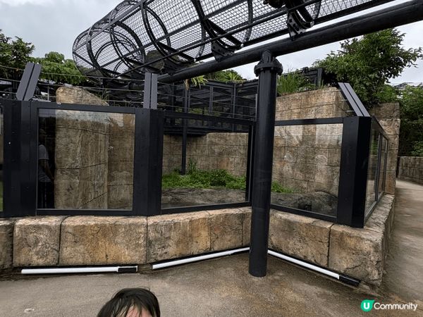 沖繩 ； 非常適合小朋友遊玩，有動物園、海遊館、海中浮潛⋯⋯...