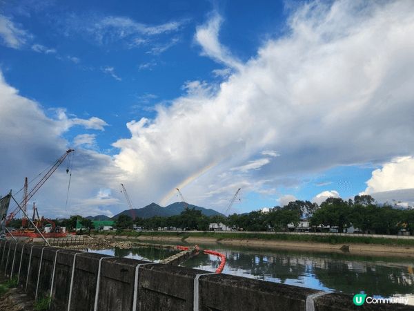 南生圍兩旁都很好行, 可以踩單車, 睇羊親親大自然, 又可以...