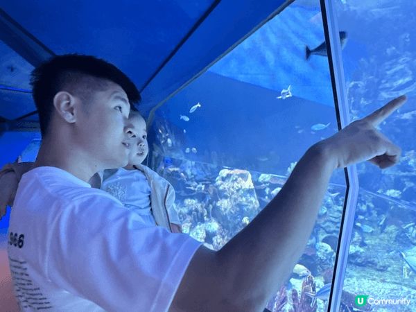 海洋公園是讓小朋友開心地認識不同動物的地方