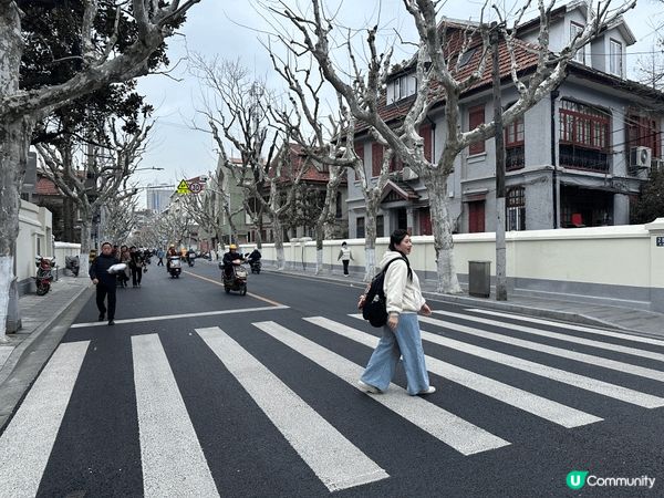 打卡好去處：上海梧桐區（法租界一帶）深度 City Walk