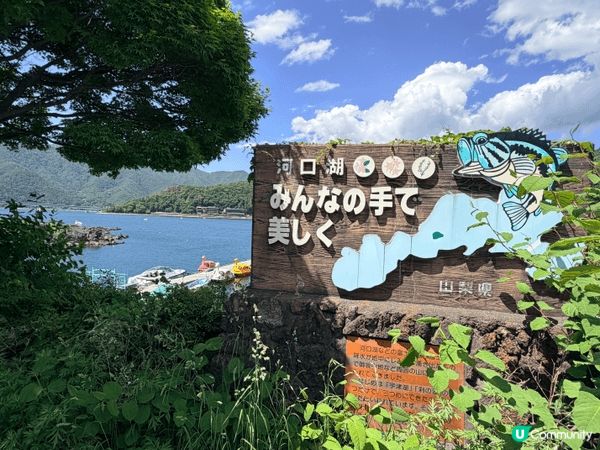 幾十歲人，第一次去日本，更係要去浸下溫泉，探吓富士山！