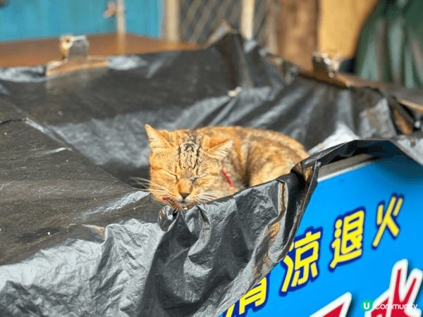 十分是台灣新北平溪的鐵道山城，完美融合了自然美景與傳統文化。
