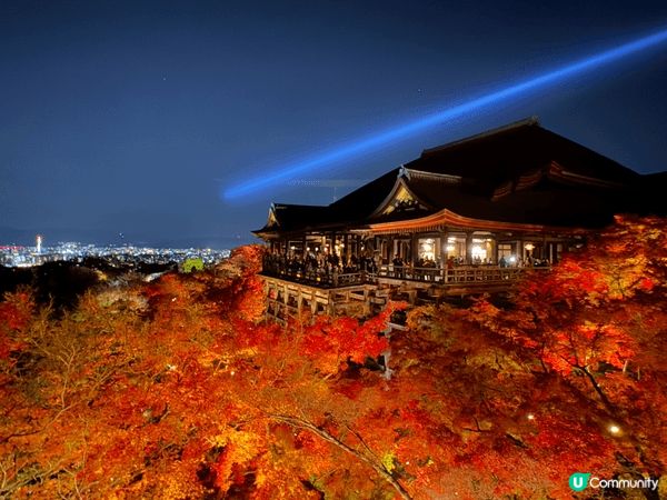 十月份到日本京都是最佳賞楓時候，特別推介夜遊清水寺、永觀堂賞...