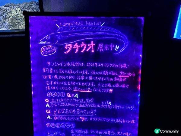 東京陽光水族館（Sunshine Aquarium）係一個位...