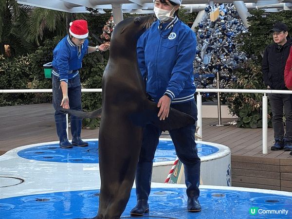 東京陽光水族館（Sunshine Aquarium）係一個位...