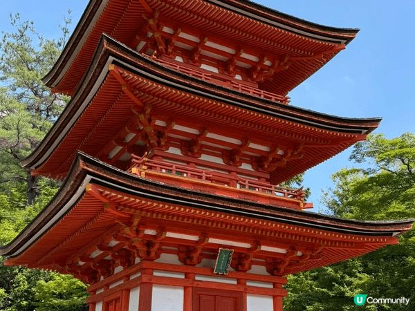 與友人－同往日本及台灣著名景點作打卡，風景美麗，行程愉快