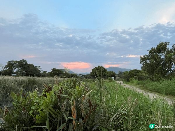 參加世界自然基金會的午夜歷奇，欣賞自然風景及自然野生動物動物...