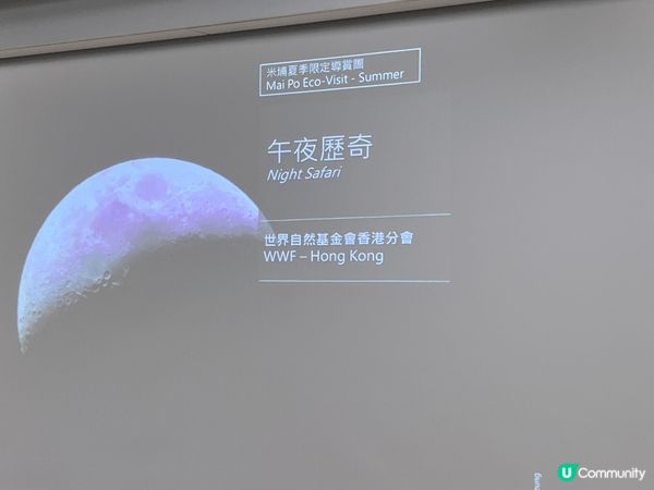 參加世界自然基金會的午夜歷奇，欣賞自然風景及自然野生動物動物...