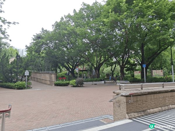 昨日去了荔枝角公園行，好多不同品種植物超級多樣化，行下十分舒...