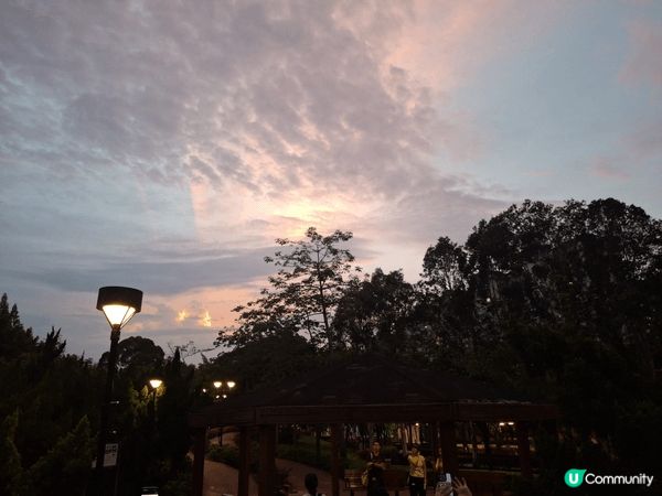 昨日去了荔枝角公園行，好多不同品種植物超級多樣化，行下十分舒...