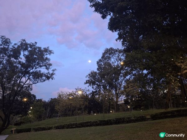昨日去了荔枝角公園行，好多不同品種植物超級多樣化，行下十分舒...