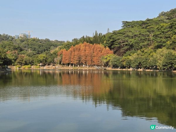 深圳福田蓮花山公園