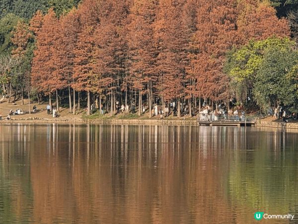深圳福田蓮花山公園
