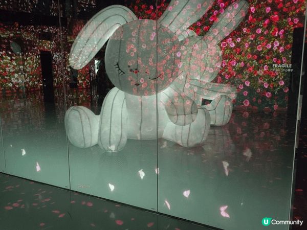與小朋友一起去藝術館，這個藝術館很特別，很多可沉浸式體驗，有...