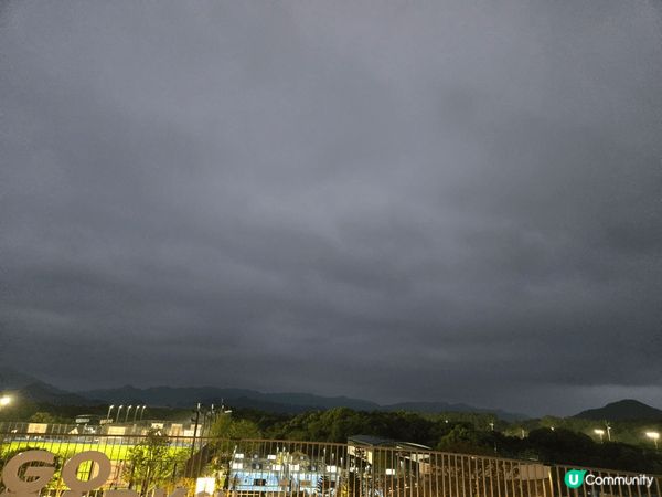 西沙，因為這地方充滿了寵物及運動，可以帶小朋友去與各種寵物接...