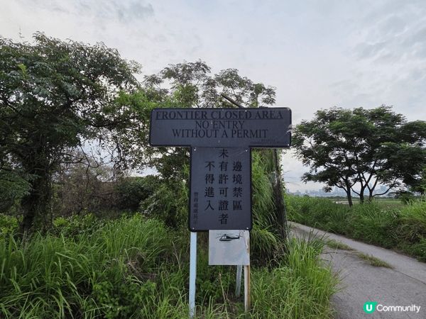 頭三張是在米埔自然保護區拍攝的，這是我在參加基圍時光之旅時拍...