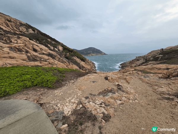 頭三張是在米埔自然保護區拍攝的，這是我在參加基圍時光之旅時拍...