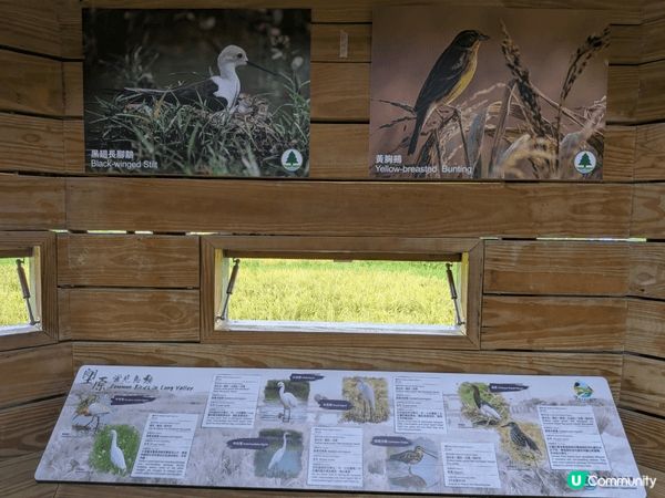 塱原自然生態公園（位於上水）佔地 37 公頃，是香港最大的淡...