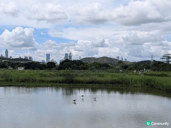 塱原自然生態公園（位於上水）佔地 37 公頃，是香港最大的淡...