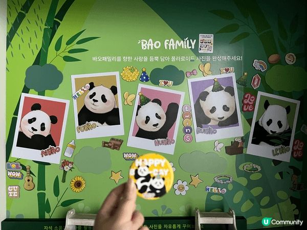 夏日推薦去龍仁愛寶樂園