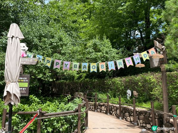 夏日推薦去龍仁愛寶樂園