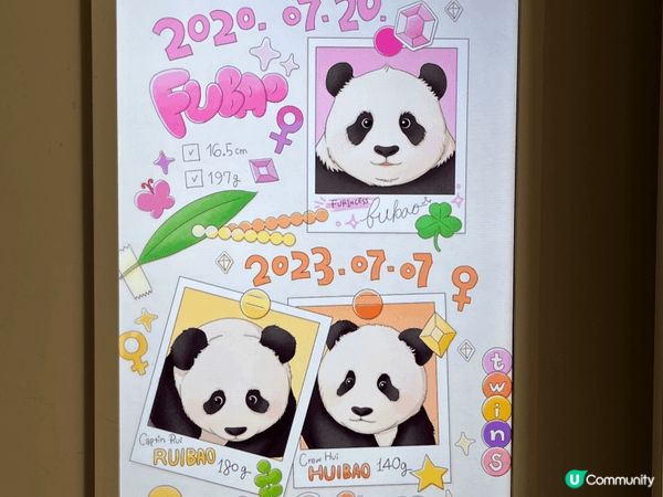 夏日推薦去龍仁愛寶樂園