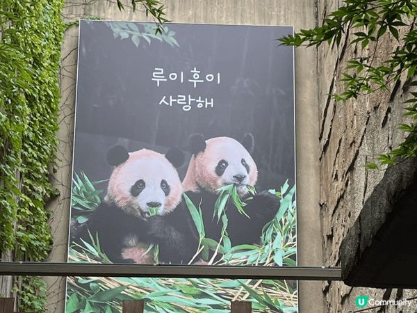 夏日推薦去龍仁愛寶樂園