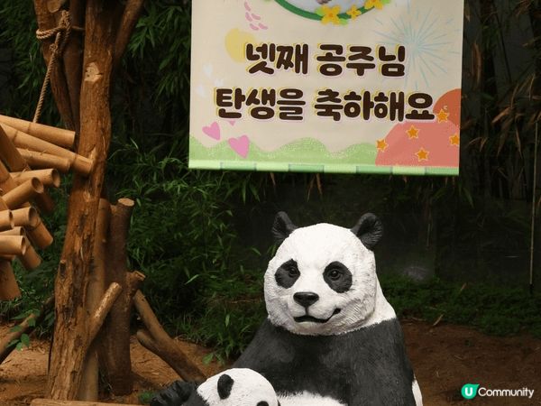 夏日推薦去龍仁愛寶樂園