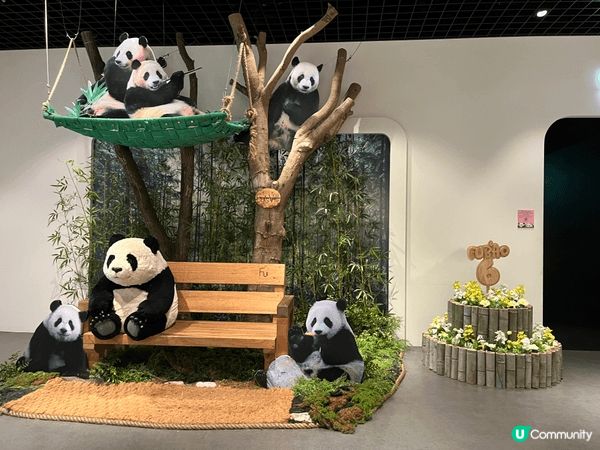 夏日推薦去龍仁愛寶樂園