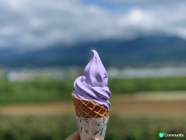 夏天北海道真係好靚 花海 薰衣草雪糕 車厘子一次過享受 最重...