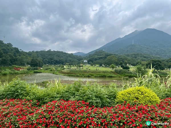 說真的，深圳鹽田8號線海山站我走過好幾次，每次都有新發現。早...