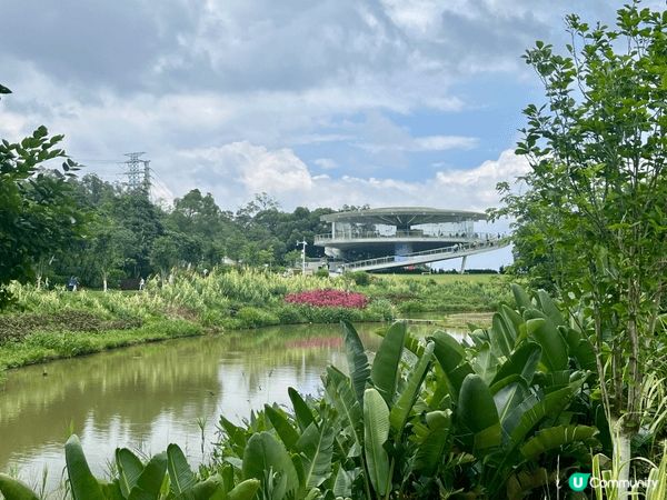 說真的，深圳鹽田8號線海山站我走過好幾次，每次都有新發現。早...