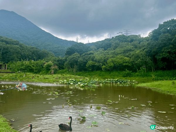 說真的，深圳鹽田8號線海山站我走過好幾次，每次都有新發現。早...