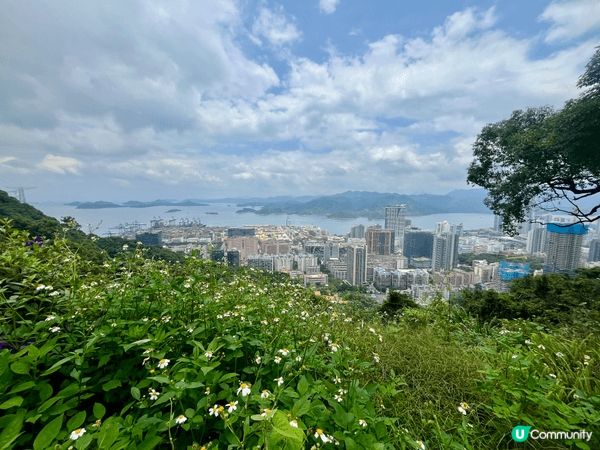 說真的，深圳鹽田8號線海山站我走過好幾次，每次都有新發現。早...