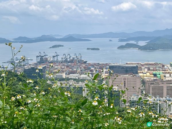 說真的，深圳鹽田8號線海山站我走過好幾次，每次都有新發現。早...