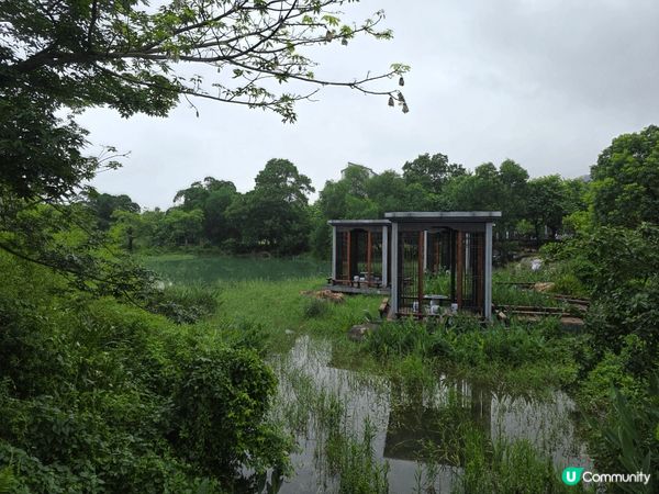 這間位於佛山南丹山景區旁的**「南山十二院度假酒店」**（即...