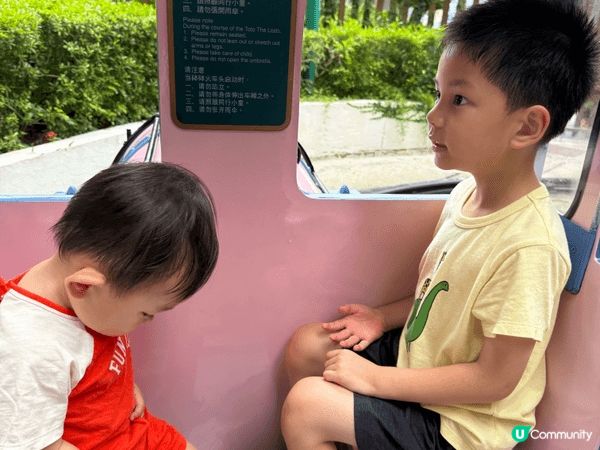 夏日炎炎，我哋成家人連埋公公婆婆、嫲嫲、叔叔同家姐一家人，一...
