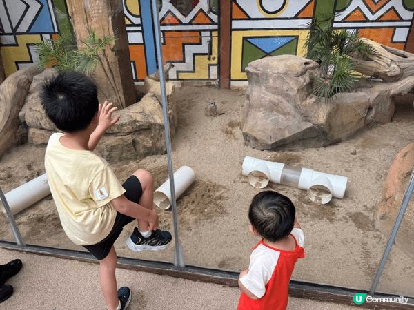 夏日炎炎，我哋成家人連埋公公婆婆、嫲嫲、叔叔同家姐一家人，一...