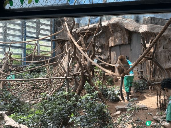 由於上次去海洋公園係學校組織小朋友學習，去完一次小朋友真係好...