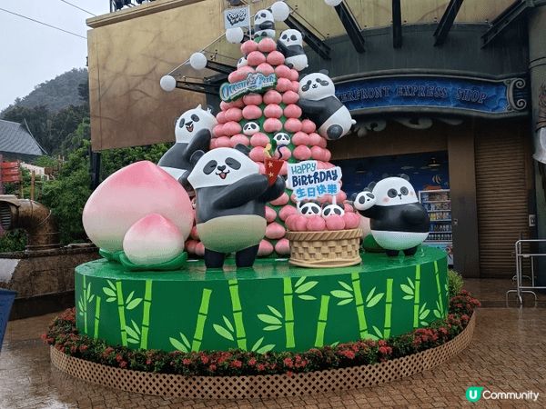 夏天生日入場海洋公園見見熊貓同企鵝,可惜家人沒空一齊去,女女...
