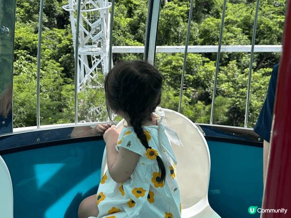 第一至三張在海洋公園拍照，看了企鵝，熊貓及海豚表演想玩其他未...