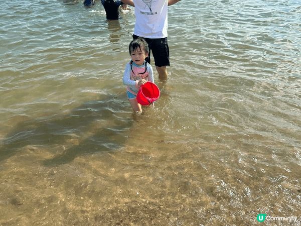 第一至三張在海洋公園拍照，看了企鵝，熊貓及海豚表演想玩其他未...
