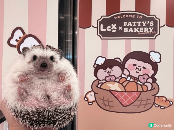 尖沙咀LCX plastic thing 為食妹夏日「包」有...