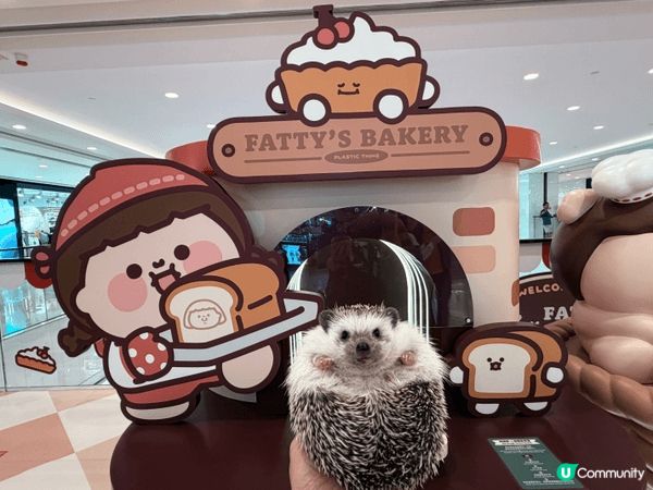 尖沙咀LCX plastic thing 為食妹夏日「包」有...