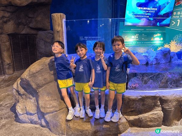 小朋友參加海馬同學時一齊去海洋公園玩
