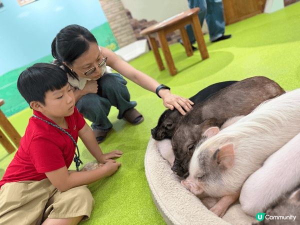 日本夏日之旅，同小豬豬玩遊戲，企鵝都喜歡曬太陽，享受同太陽伯...