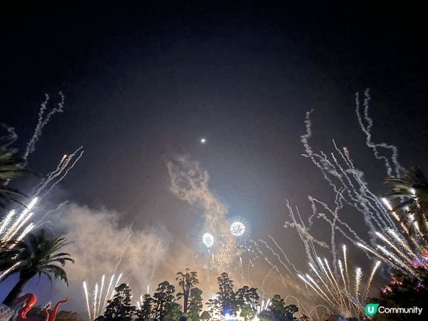 今個夏天去了珠海長隆海洋王國玩，有刺激激動遊戲，有動物表演，...