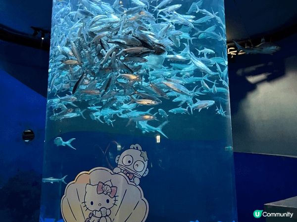 Ocean park , 生日同bb第一次兩個人去到咁遠，好...