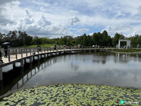 圖一濕地公園，環境寂靜清幽，好適合放鬆身心。圖二清水灣沙灘，...