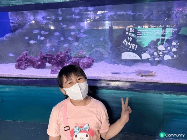 我喜歡去不同的地方打卡和享受香港嘅美食。當然有包括香港嘅地標...